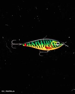 10K views · 357 reactions | The X-Rap Haku - featuring our unique 3R: Rapala® Release Rig–System to help you land more fish. See the range here! | Rapala | Facebook