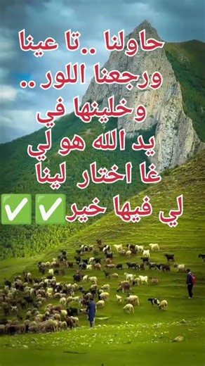 #كامري #محركات #تيك_توك #اكسبلور #خيل #خيل #متابعه #لايك #كلام_من_ذهب #كلام_من_ذهب #ترند #horse #au