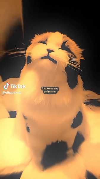 #presetdibawah5mb #presetxml #masukberanda #fyp