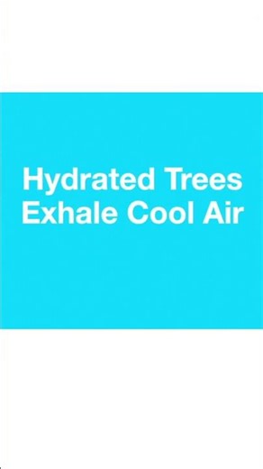 Trickle-Water Your Trees; Reason #11