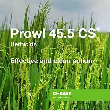 Prowl Herbicide