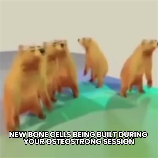 When your body gets the signal to build stronger bones and it actually listens 🐻🕺 That’s what happens when you apply the right amount of osteogenic load—your body responds by strengthening itself from the inside out. 👉 Curious what your body is capable of? Book a free session and let’s find your starting point. #BuildBetterBones #OsteoStrong #StrongerEveryWeek