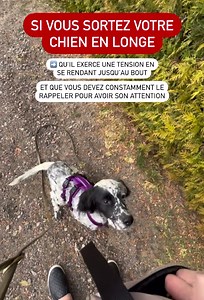 12K views · 79 reactions | Toi, ton chien, comment il réagit en longe...