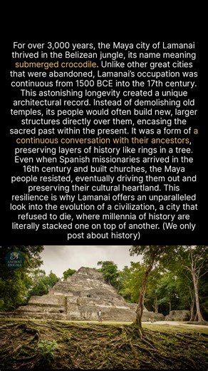 2K views · 35 reactions | This ancient Maya city in Belize was continuously occupied for more than 3,000 years. #history #archaeology #ancienthistory #discovery | Ancient Enigma | Facebook