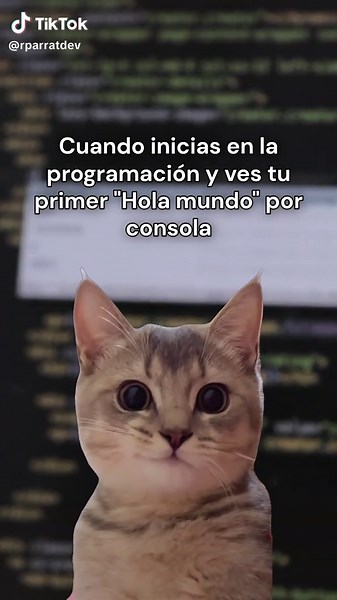 La emoción de tu primer código funcionando
