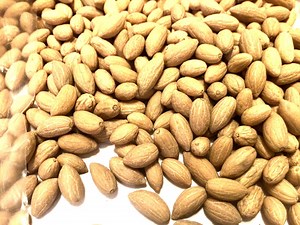 Olive Tree Seeds (OLEA EUROPAEA) (common Olive) - Etsy