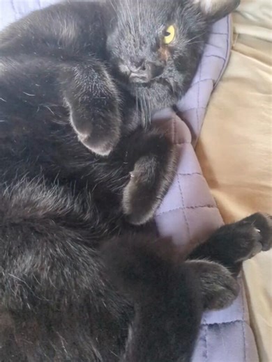 RT @Ruby_Knox: Miss Moca Stout