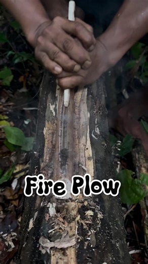 Forest skills, Making fire by rubbing a stick on wood #primitivefirelighting #bushcraft