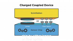 Digital Radiography System Explained (step-by-step)