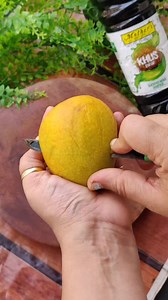 432K views · 6.5K reactions | Using Khus syrup by Mother's Recipe...