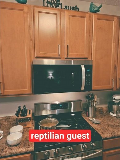 A reptilian creature lives in my appliances