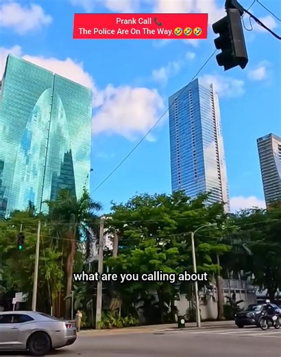 The Police Are On The Way! 🚓😱 | Hilarious Prank Call Gone Wild! When you tell someone the police are on the way, the reaction is always legendary! 😂 From confusion to panic to total relief — this prank had everyone losing their minds! Watch till the end, you’ll be crying with laughter! 🤣💀 #PolicePrank #FunnyCalls #PrankGoneWild #ComedyVibes #EpicReactions #prankcalls | Prank Calls