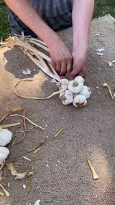Fresh Wreath - Rosemary, Thyme & Garlic