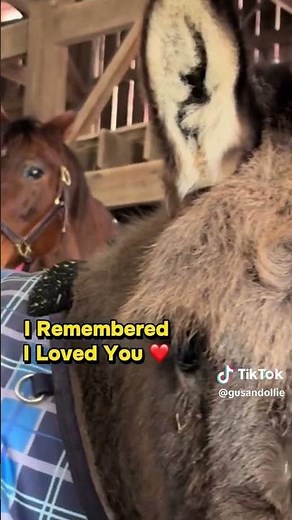 Best Friends in the Barn 🐴 — Gus & His Sister | TegridyFarmsKY