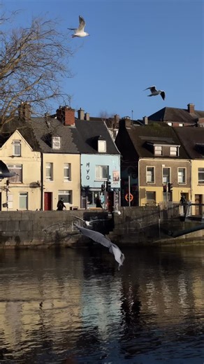 Morning views at MYO ☀️ Nothing pairs better with sunshine than a hot cup of coffee. We’re open 7 days a week and always ready to serve your daily dose of caffeine. Come start your day with us! | Myo