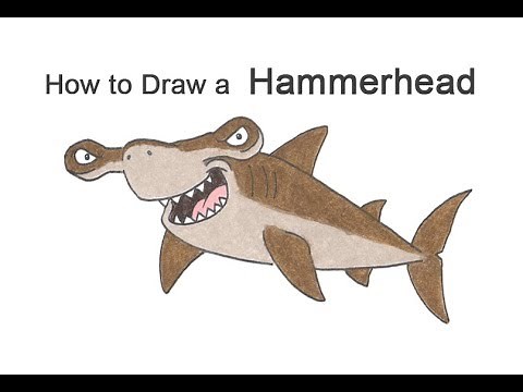 How to Draw a Hammerhead Shark (Cartoon)