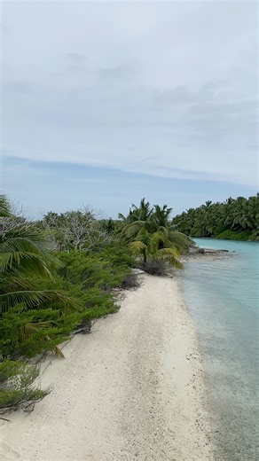 11 reactions | Tropical Paradise #tropical #nature #beach #travel #summer #paradise #tropicalvibes #love #photography #ocean #island #vacation #instagood #beautiful #islandlife #photooftheday #plants #flowers #caribbean #sea #naturephotography #sunset #travelphotography #beachlife #fish #garden #travelgram #palmtrees #hawaii | Jeff Nicholas | Facebook