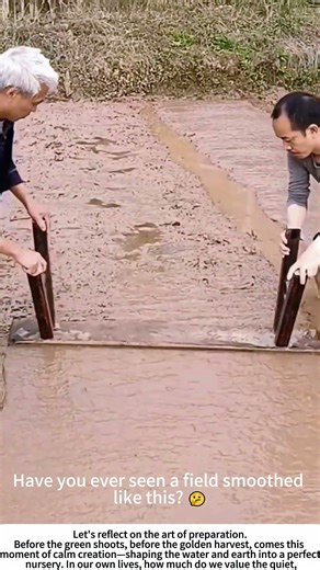 The Liquid Canvas: Seeding a Flooded Rice Paddy 🌱🌊
