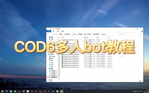 使命召唤6多人bot教程语音版
