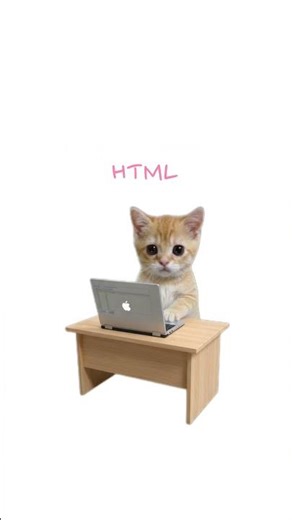 HTML tags with kitty 👀🩷 #cat #frontenddev #html #meme #cute #coding #catmeme #frontend