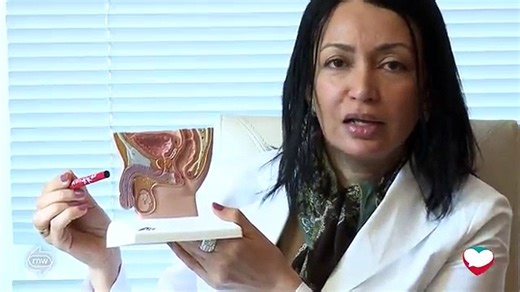 Penis types and shape شكل وطول القضيب الطبيعي