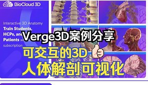 Verge3D案例分享 | 交互式三维医学可视化 - 人体解剖 | BioCloud 3D