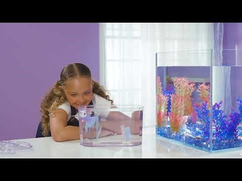 Little Live Pets | Lil Dippers | How to Care & Play!