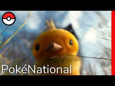The Fiery Fluffball - Torchic | PokéNational | Pokémon Documentary