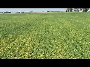 Record Iowa Land Sale