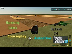FS22 Big Fields XXL Harvesting A Large Field With Courseplay, & Hauling Grain With Autodrive
