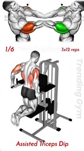 Triceps Workout to Build Massive Arms | Quick Routine