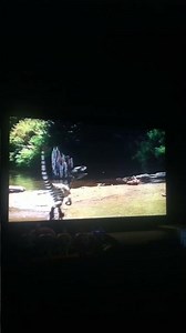 Walking With Dinosaurs Death Of A Dynasty Dromaeosaur Attacks