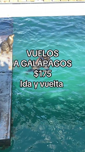 Vuelos a Galápagos desde Quito y Guayaquil