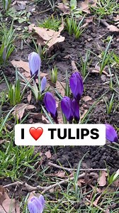 34K views · 78 reactions | Welcome, spring! | Tips, Tricks & Funny Clips | Facebook