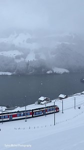 8K views · 10K reactions | Epic train ride #switzerland @michelphotographych #switzerland_vacations #winter #trainride | Sylvia Michel Photography | Facebook