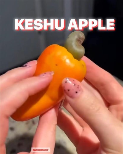 How cashew are made #shorts