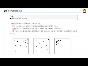 個体の分布様式 【高校生物】