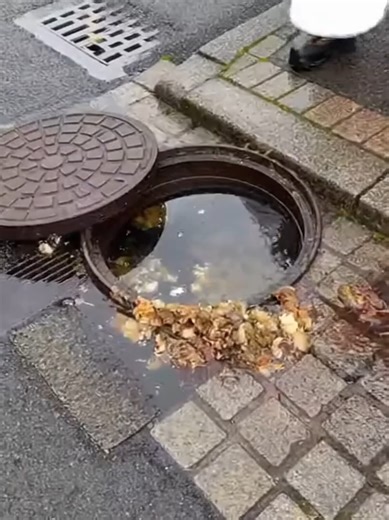 Amazing Drain Cleaner#Amazing Drain Cleaner