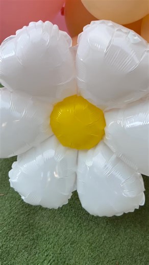 We had the privilege to style and setup this beautiful theme Little Miss ONEderful. #hopppersandbugspartyplanners #ilovewhatido #pietermaritzburgpartyplanners #partyvenueforkids #balloondecor #hoppersandbugs | Hoppers & Bugs Children's Party Planner and Jumping Castles | Facebook