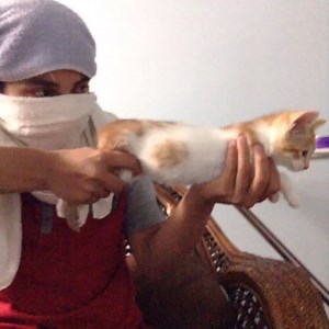 Cat gun. (No cats were harmed during the making of this video)