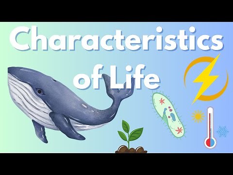 Understanding the Characteristics of Life: What Makes Something Alive?"