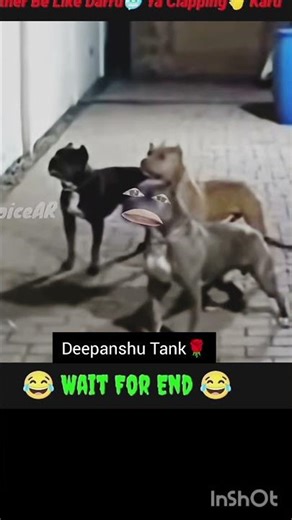 😎❣️🌹❣️😎#funny#funnyvideo#funnyshorts#shorts#comedy#viral#fun#youtubeshorts#comedyshorts#funnyvideos#