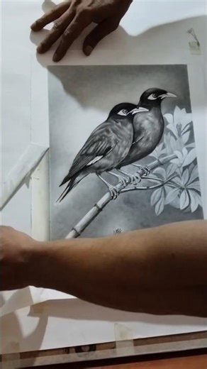 Bird sketching #birdsketch #art #ytshorts #shorts