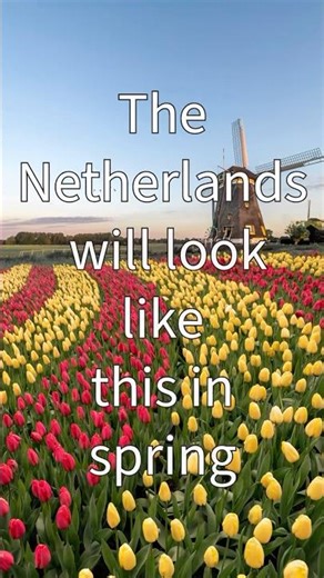 The Most Beautiful Spring in the Netherlands