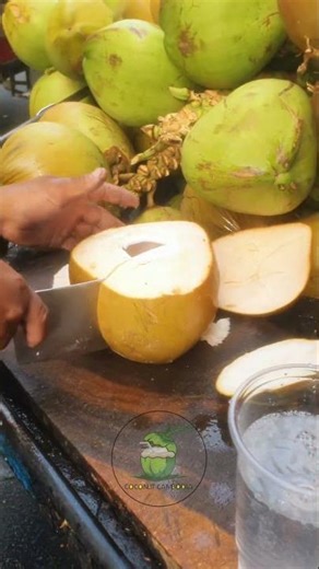 The Best Machete for Opening Coconuts