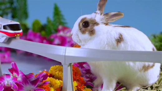 Park Hopping. Literally.Walt Disney World shared a video of bunnies hopping across the resort to celebrate Easter! ❤️
