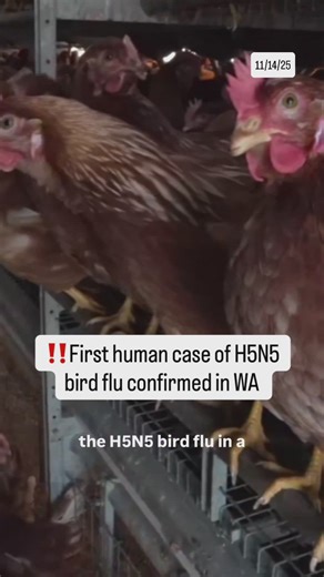 Health officials in Washington state report the infection is from the H5N5 strain, a first in humans. | KING 5