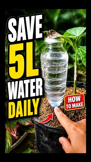 DIY Drip Irrigation Using a Plastic Bottle 💧|Container Gardening Hack #dripirrigation #shorts