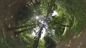 Immerse Yourself Enchanting Beauty Nature Our Stock Footage Video (100% Royalty-free) 3678797171 | Shutterstock