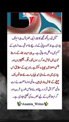 #SnailFever #Schistosomiasis #ParasiticDisease #GlobalHealth #HealthAwareness #NeglectedDiseases